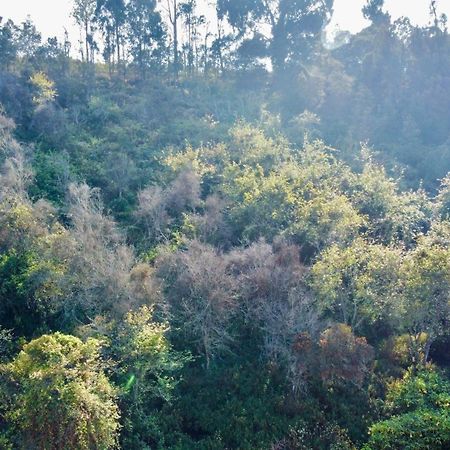 La Flora Kodaikanal Eksteriør billede